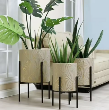 Planters for Indoor Plants, Set of 3 Floor Plants